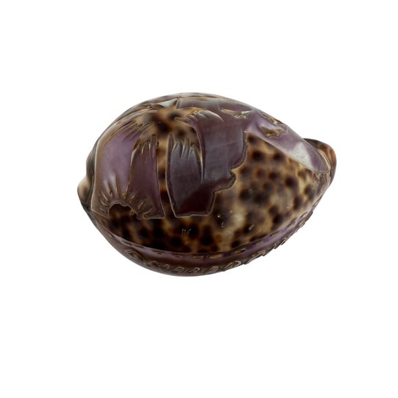Hand-Carved Purple Tiger Cowrie Shell With Beach Scene From Philippines 3" Long - Picture 2 of 6